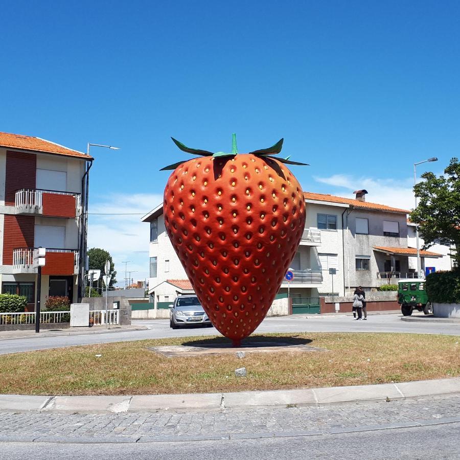 Porta 7 Apartment Canidelo  Exterior photo